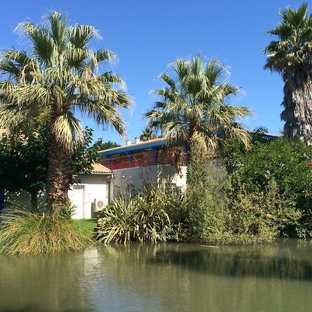 L'Hotel Du Mediterranee Argelès-sur-Mer Exteriér fotografie