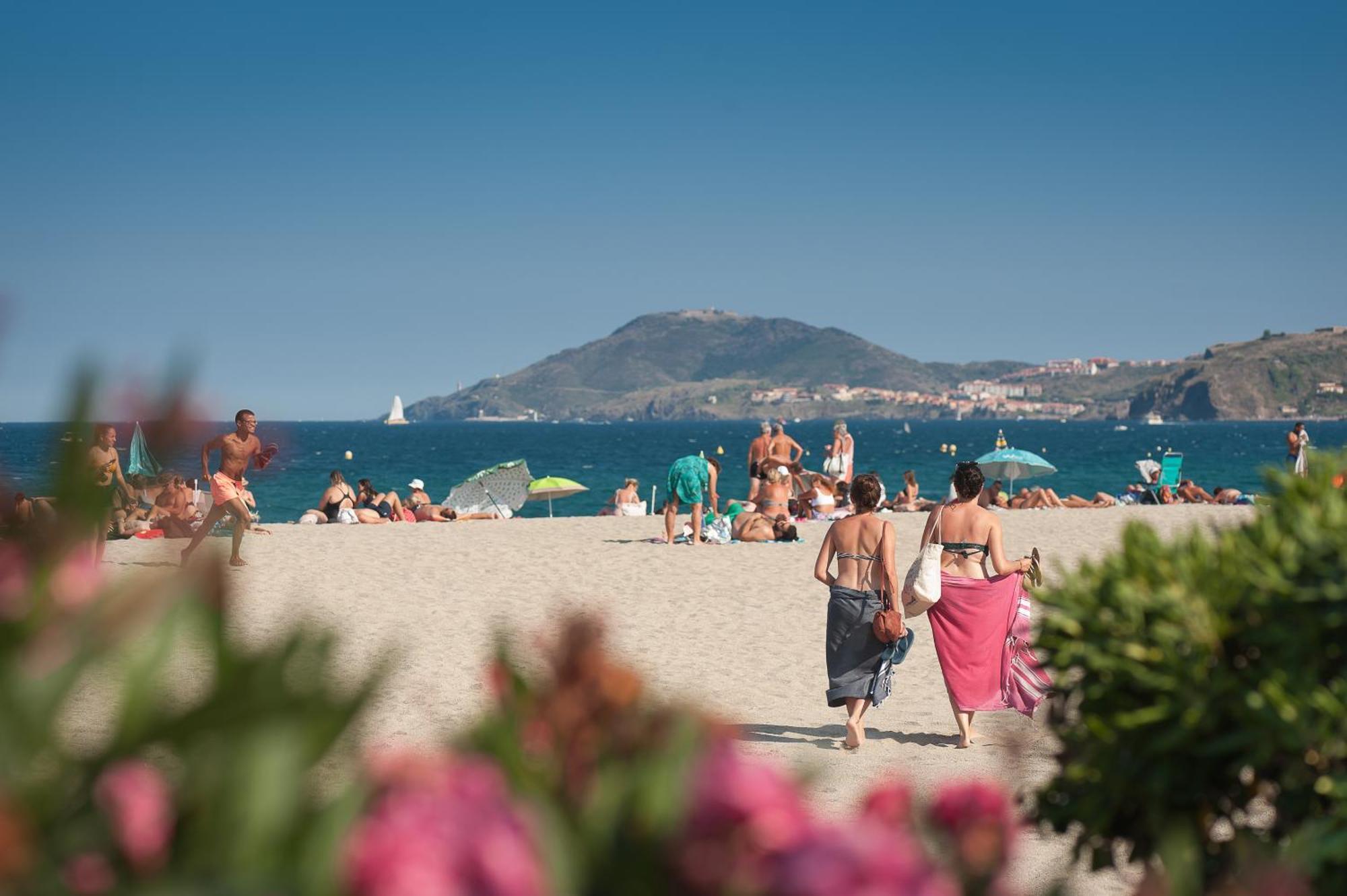 L'Hotel Du Mediterranee Argelès-sur-Mer Exteriér fotografie