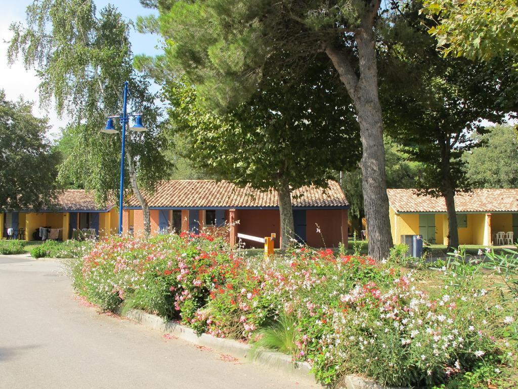 L'Hotel Du Mediterranee Argelès-sur-Mer Exteriér fotografie