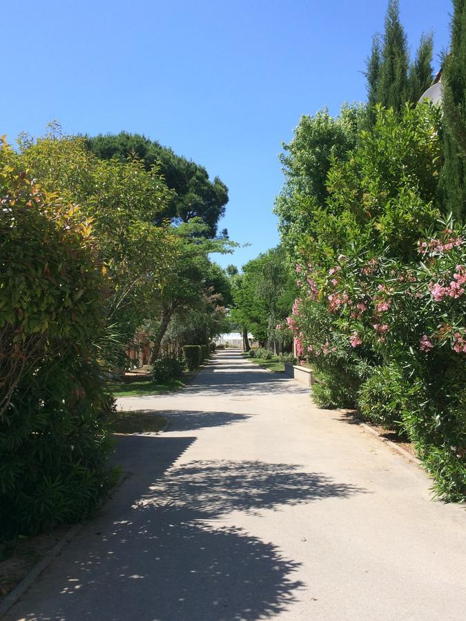 L'Hotel Du Mediterranee Argelès-sur-Mer Exteriér fotografie